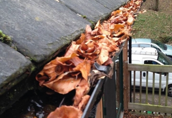 Gutter cleaners in Winklebury gutter before
