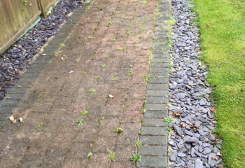 Brick Path Cleaning Hampshire