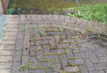 Brick Driveway Cleaning Basingstoke