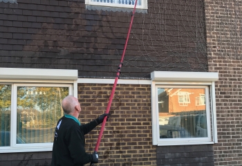 Window Cleaning Tadley